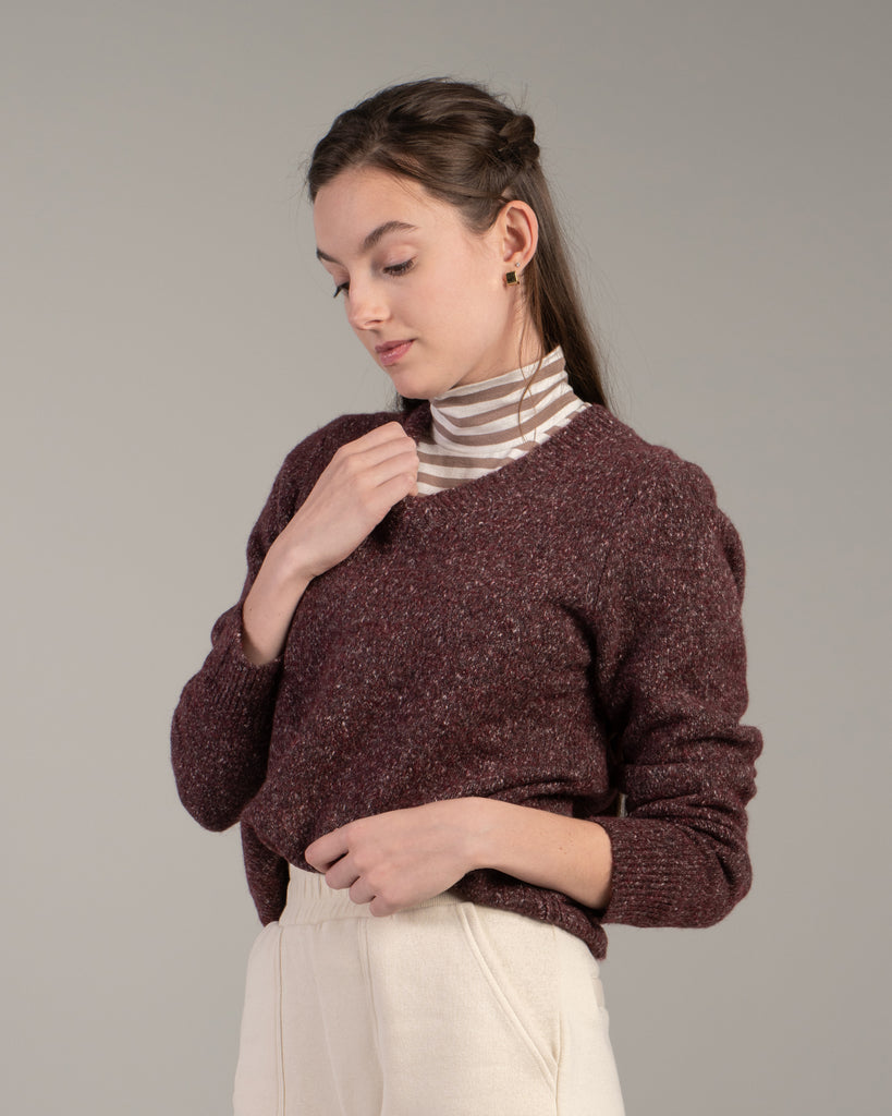 Model wearing a brown speckled long sleeve v-neck pullover sweater.