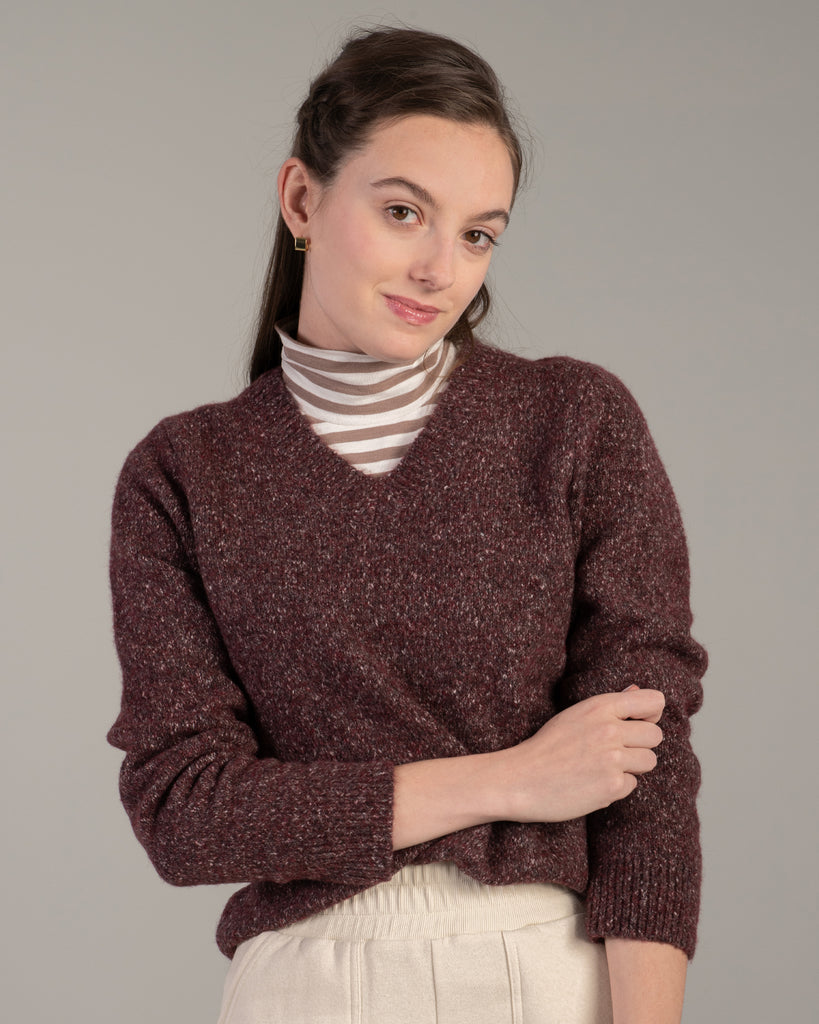 Model wearing a brown speckled long sleeve v-neck pullover sweater.