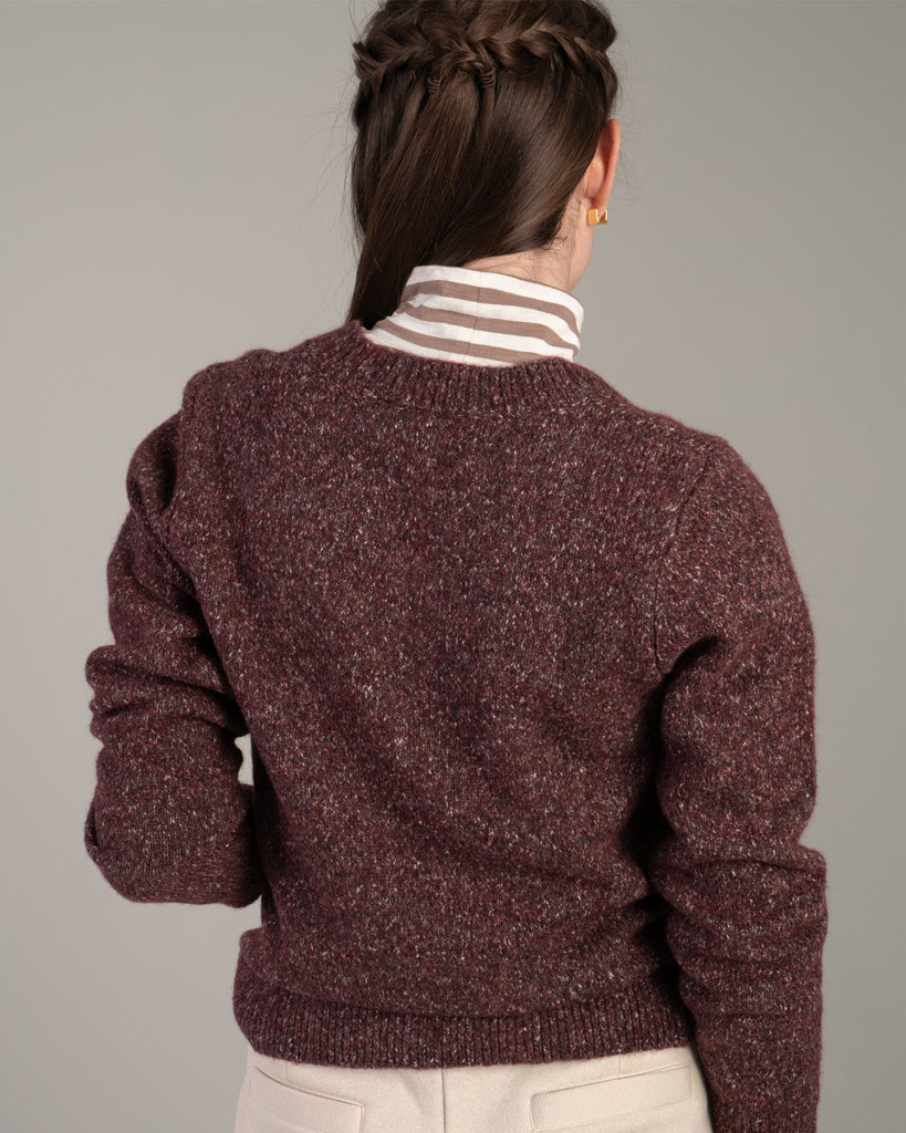 Model wearing a brown speckled long sleeve v-neck pullover sweater.